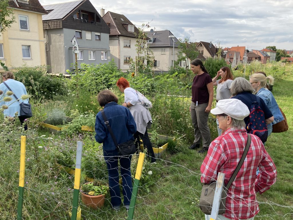 Spaziergang am ‚Gleisbeet‘ und Vorstellung Urban Gardening Projekt am Freitag, 31. Oktober 2025