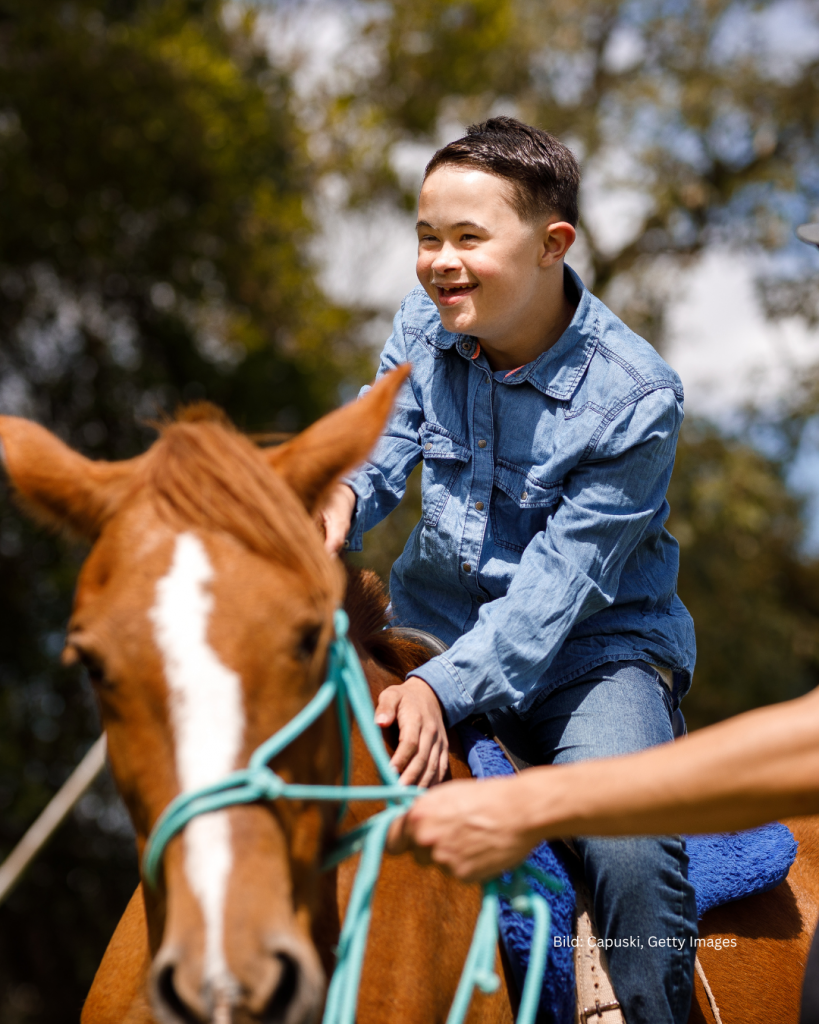 Spaziergang zu den Therapiepferden der Karlshöhe Ludwigsburg